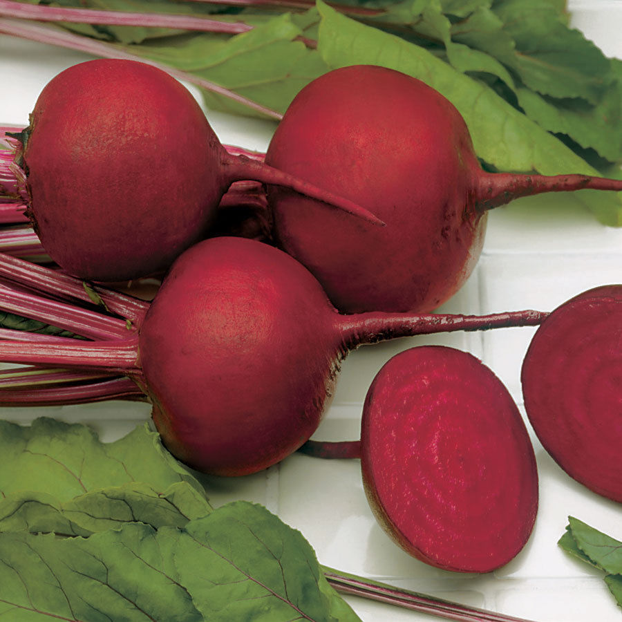 Beetroot Detroit Dark Red – Premier Seeds Direct