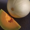 Melon Honeydew Orange Flesh / Temptation