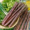 Asparagus Sweet Purple