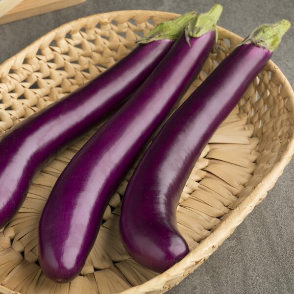 Italian Aubergine Long Purple - Image 2