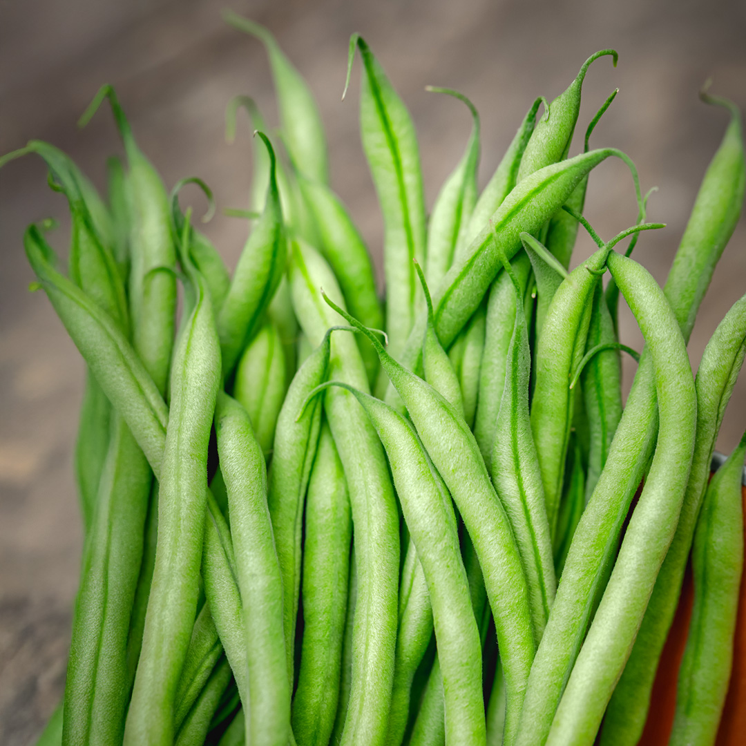 Dwarf French Bean Slenderette - Image 2