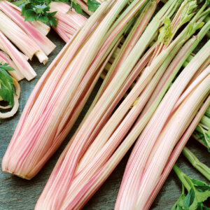 Celery Peppermint Stick
