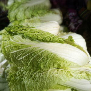 Cabbage Chinese Michihili