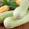 Italian Courgette Bianca Di Trieste - Image 4