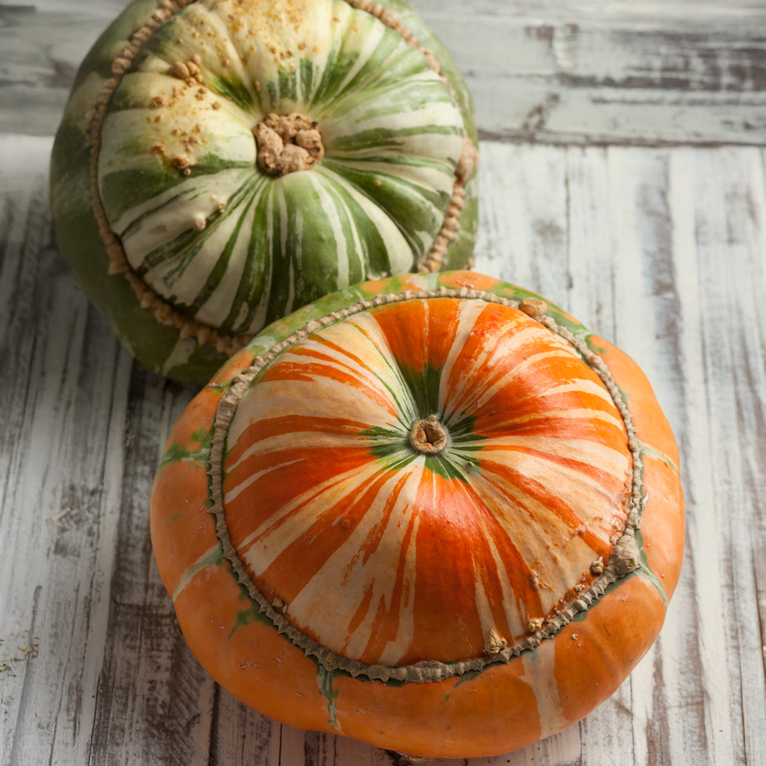Freshly harvested Turk's Turban Gourd Squash in orange, cream, and green stripes on a wooden surface