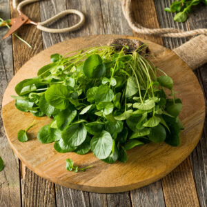 Freshly harvested watercress on a wooden board in the kitchen