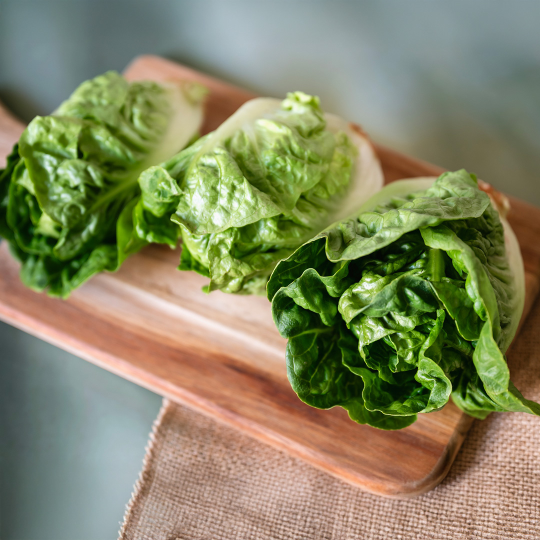 Lettuce Little Gem - Image 2