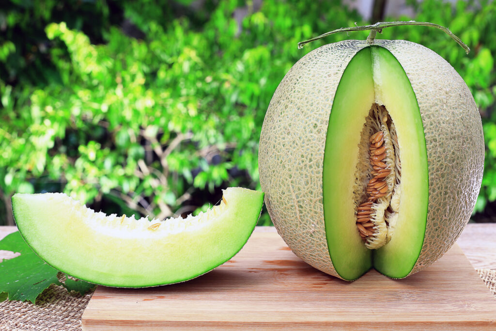 Melon Honeydew | Melon | Premier Seeds Direct Ltd