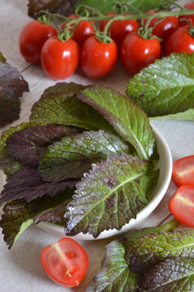 Mustard Red Giant Organic | Organic Mustard