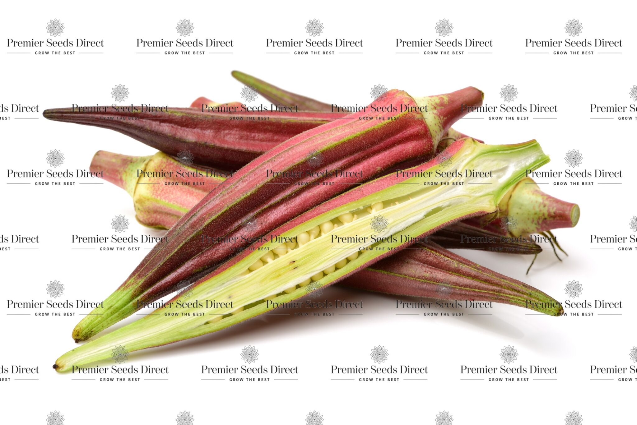Okra Burgundy Premier Seeds Direct