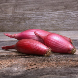 Onion Long Red Florence