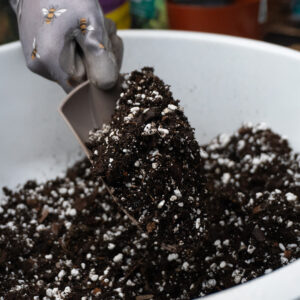 White perlite mixed in with compost in a white ceramic plant pot. A person wearing a grey glove with a bee pattern is mixing the compost with a hand trowel