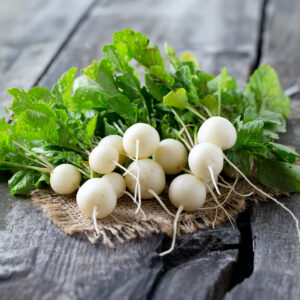 Freshly harvested White Hailstone Radishes with green leaves lying in a bunch on hessian on a grey wooden surface