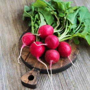 Freshly harvested red Saxa 2 Radishes with green leaves on a wooden chopping board