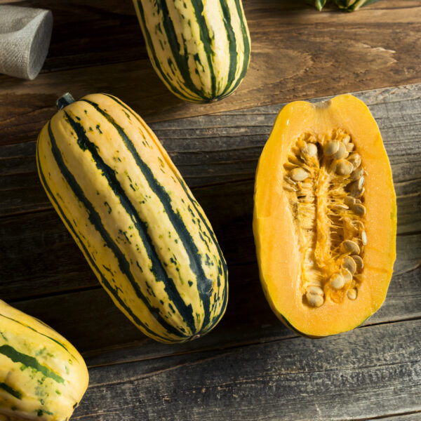 Squash - Delicata - Image 2