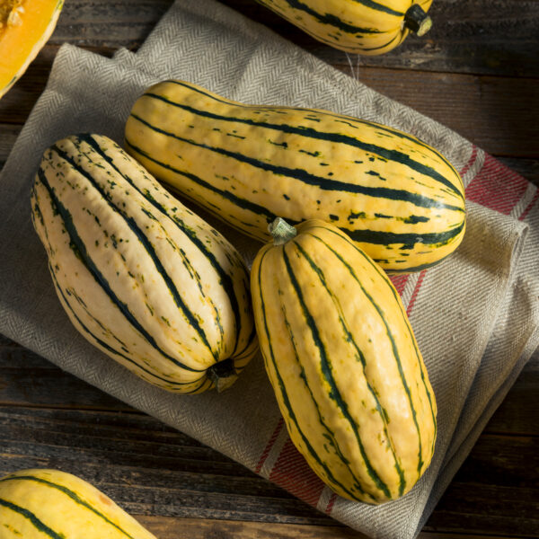 Squash - Delicata