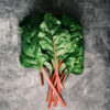 Swiss Chard - Rhubarb