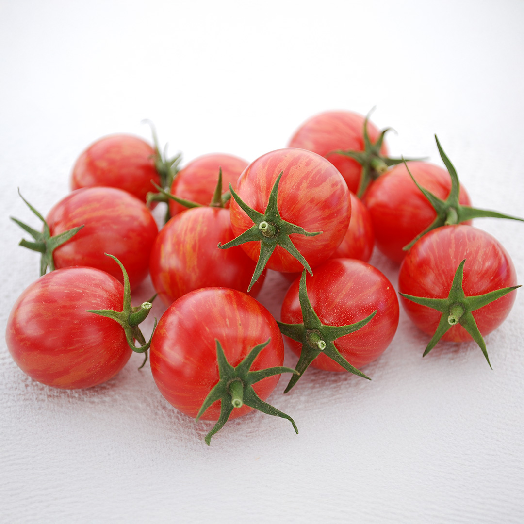 Tomato Artisan Pink Bumblebee - Image 2