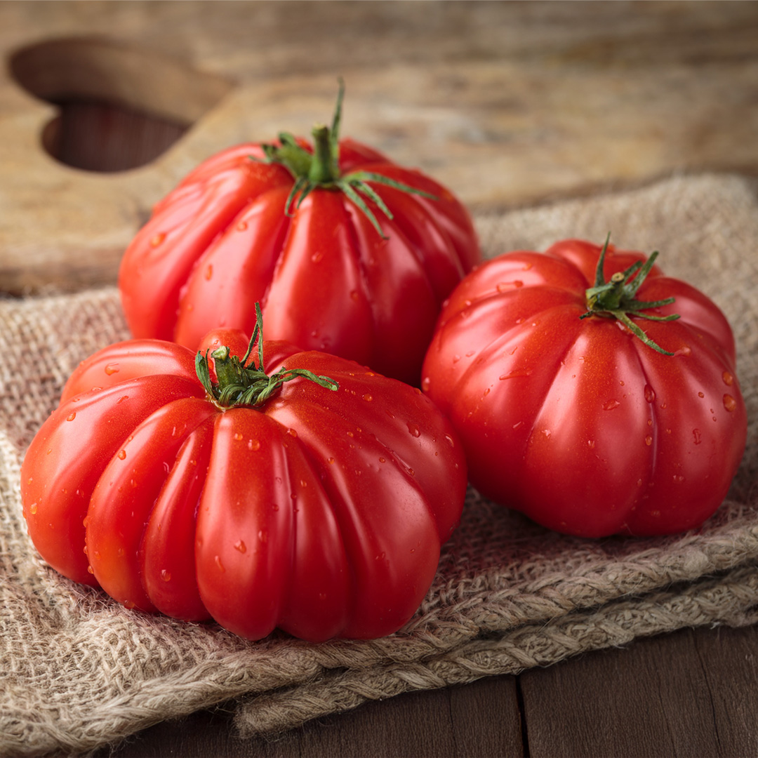Tomato Costoluto Fiorentino - Image 3