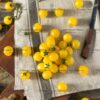 Tomato Yellow Cherry Gold Nugget - Image 3