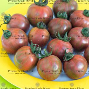 Tomato Cherry Artisan Purple Bumblebee