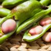 Broad Bean Pink Karmazyn - Image 2