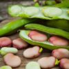 Broad Bean Pink Karmazyn - Image 3