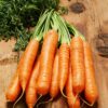 Carrot Touchon