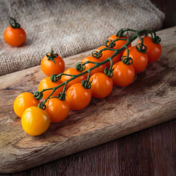 Tomato - Sungold F1 - Image 3