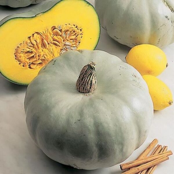 winter-squash-crown-prince-f1-kings-seeds-direct