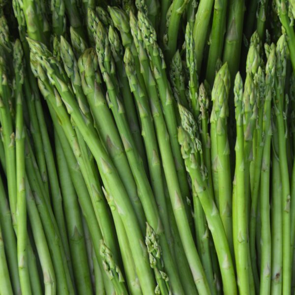 Asparagus - Mary Washington - Image 2