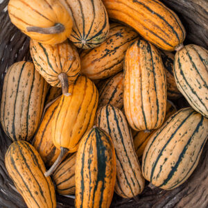 Squash - Delicata Honeyboat