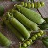 Sugar Snap Pea Sugar Bon