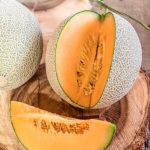 Organic Melon 'Cantaloupe Di Charentais'