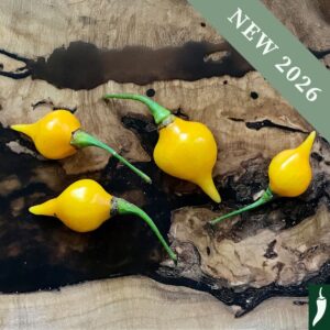 Pepper 'Biquinho Yellow'