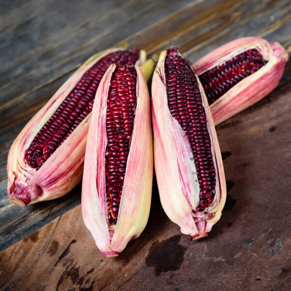 Sweetcorn - Bloody Butcher - Image 2