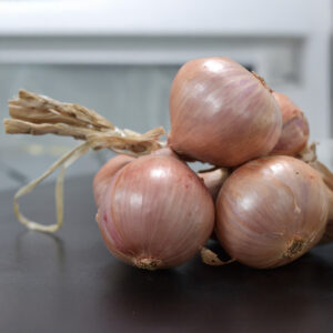 Pink brown Rosanna onions tied on a black surface