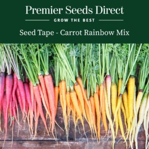An array of freshly harvested rainbow carrots on a wooden surface in purple, red, yellow, orange, and white.