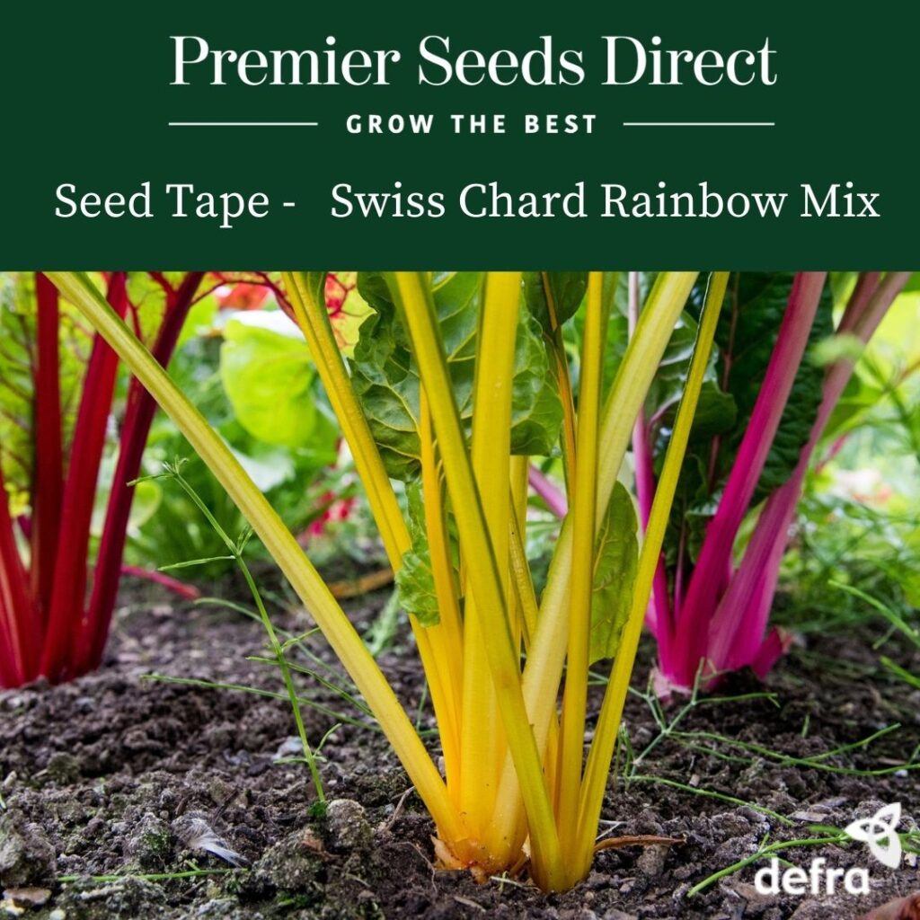 Seed Tape Archives Page 2 of 2 Premier Seeds Direct