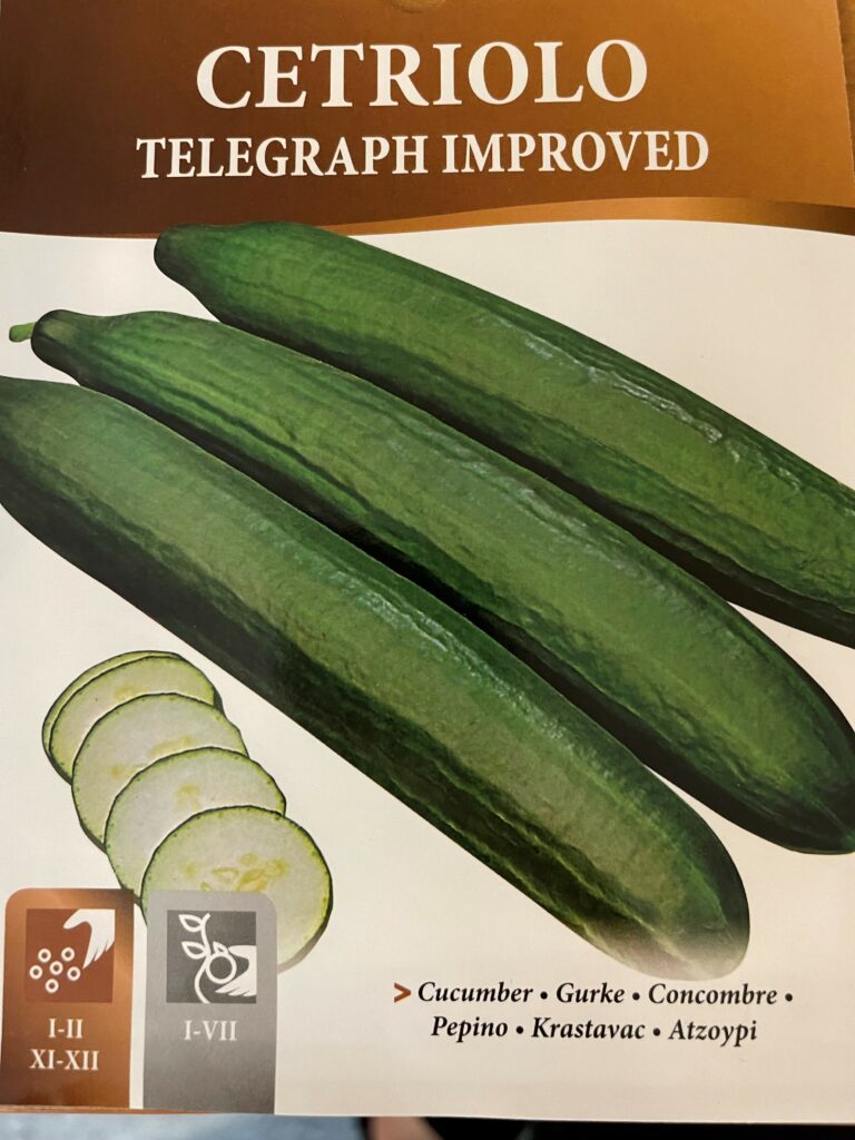 CUCUMBER TELEGRAPH IMPROVED PICTORIAL PACKET Premier Seeds Direct
