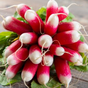 Radish - Organic