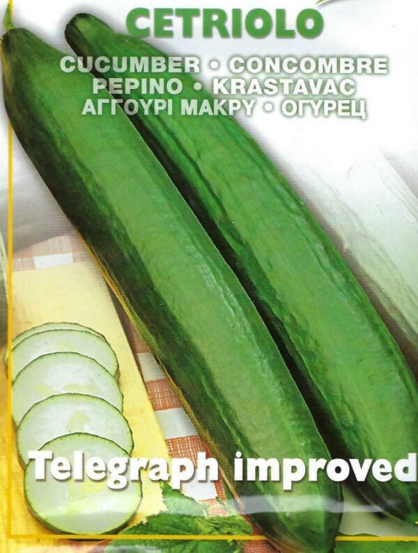 Cucumber Telegraph Improved Pictorial Packet Premier Seeds Direct