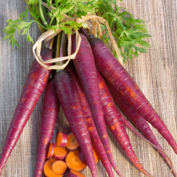 Carrot Cosmic Purple