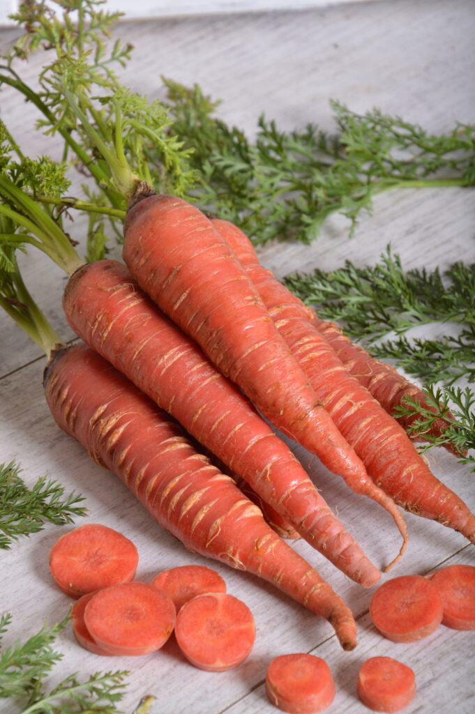 carrots with long, tapered roots in a scarlet- red colour with sliced carrots