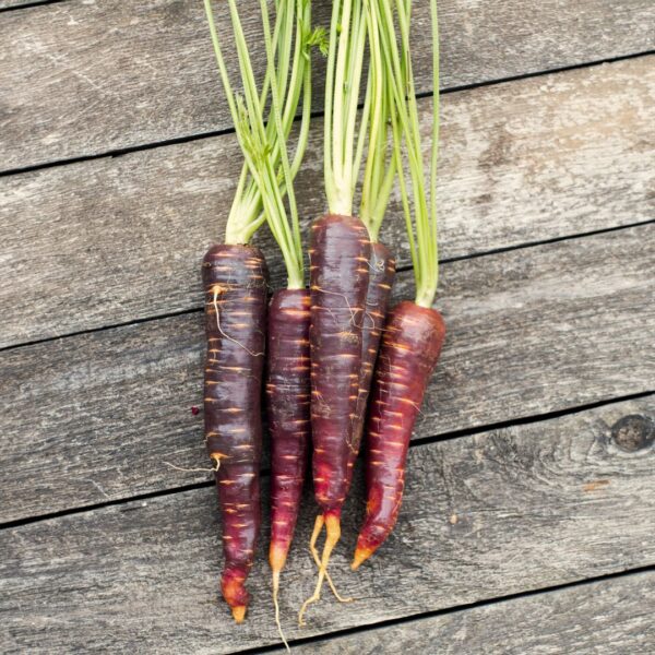 a bunch of purple carrots with red markings on a wooden table