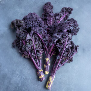 KALE - BORECOLE - SCARLET