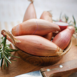 Shallot Zebrune