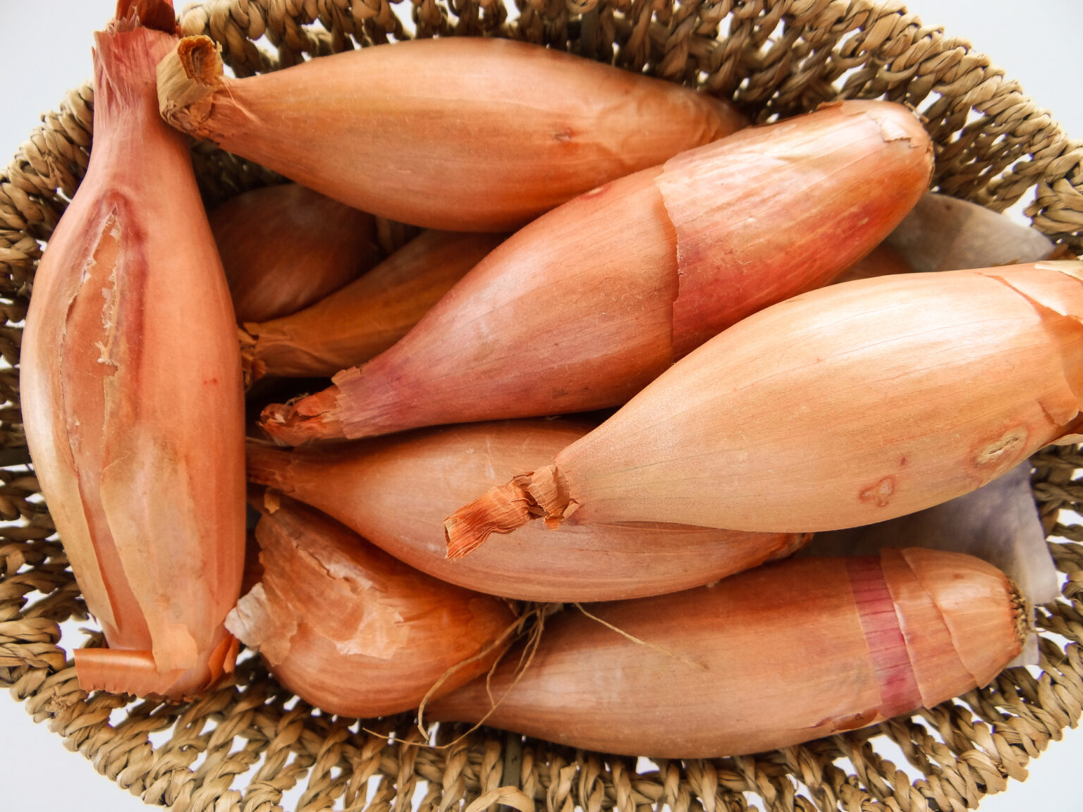 Shallot Zebrune Premier Seeds Direct