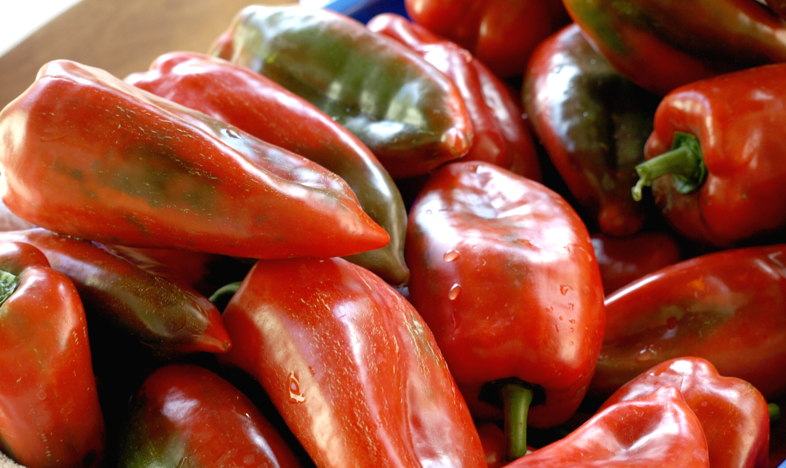 Sweet Pepper - Aji Dulce - Premier Seeds Direct