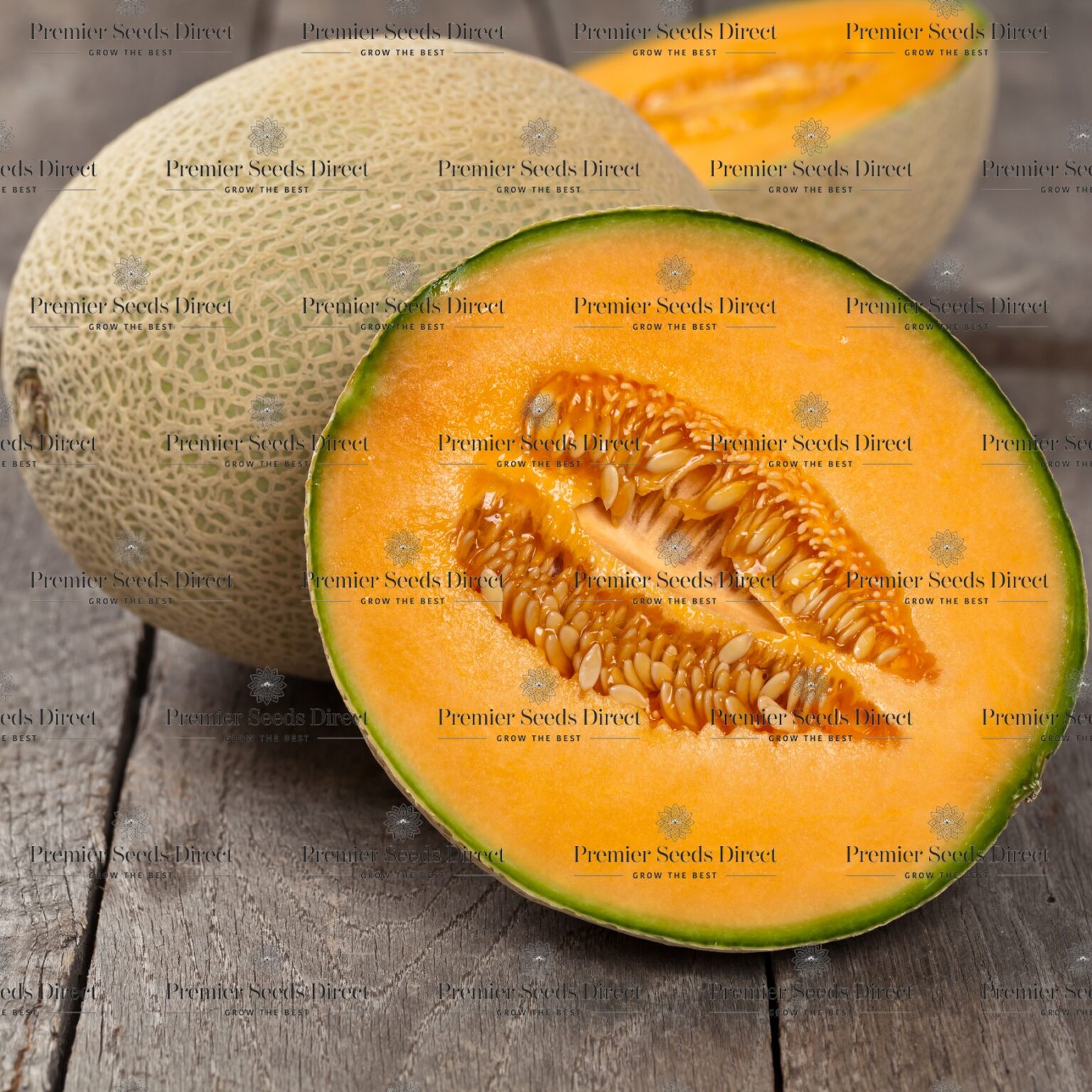 Melon Cantaloupe Hales Best Jumbo Premier Seeds Direct